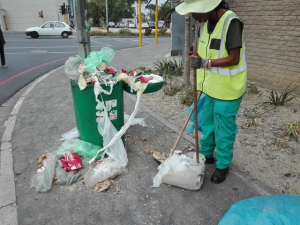 Cleaning up after bins raided by vagrants