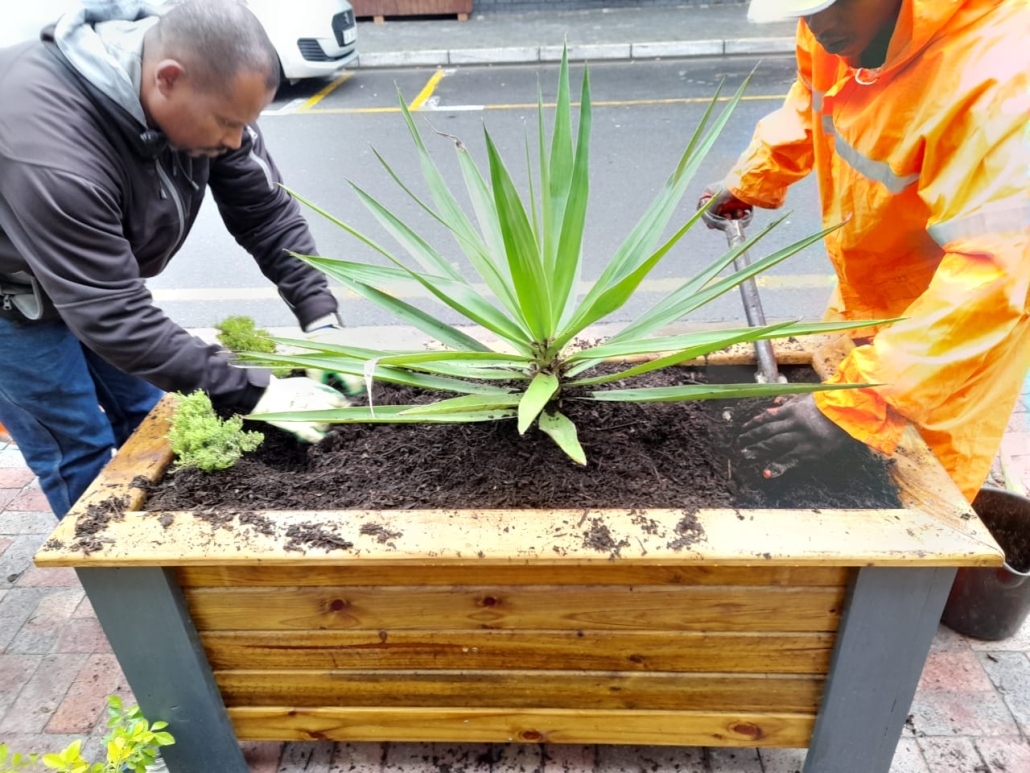 New planters for Somerset West CID